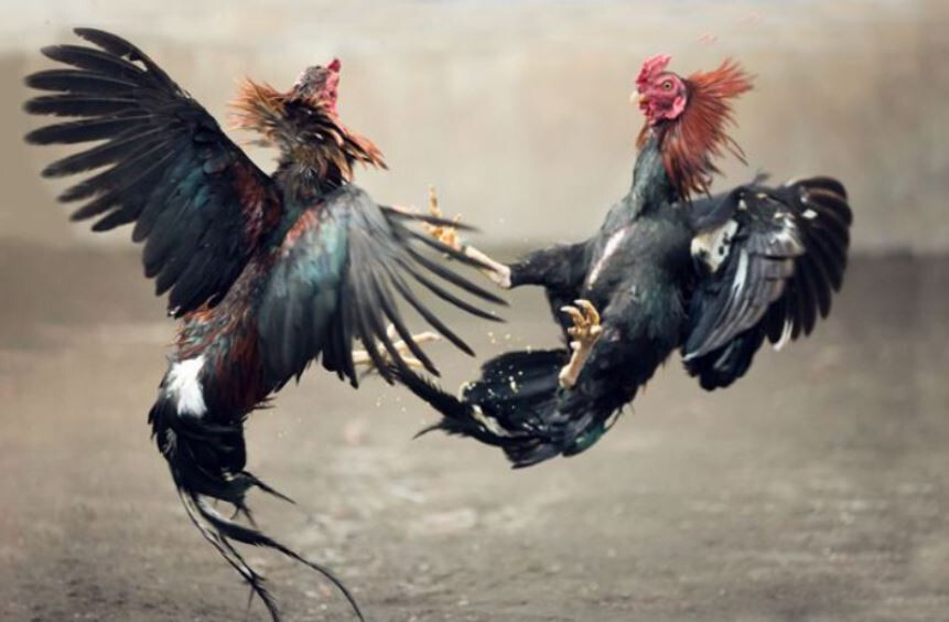 Thế mang lên mang xuống