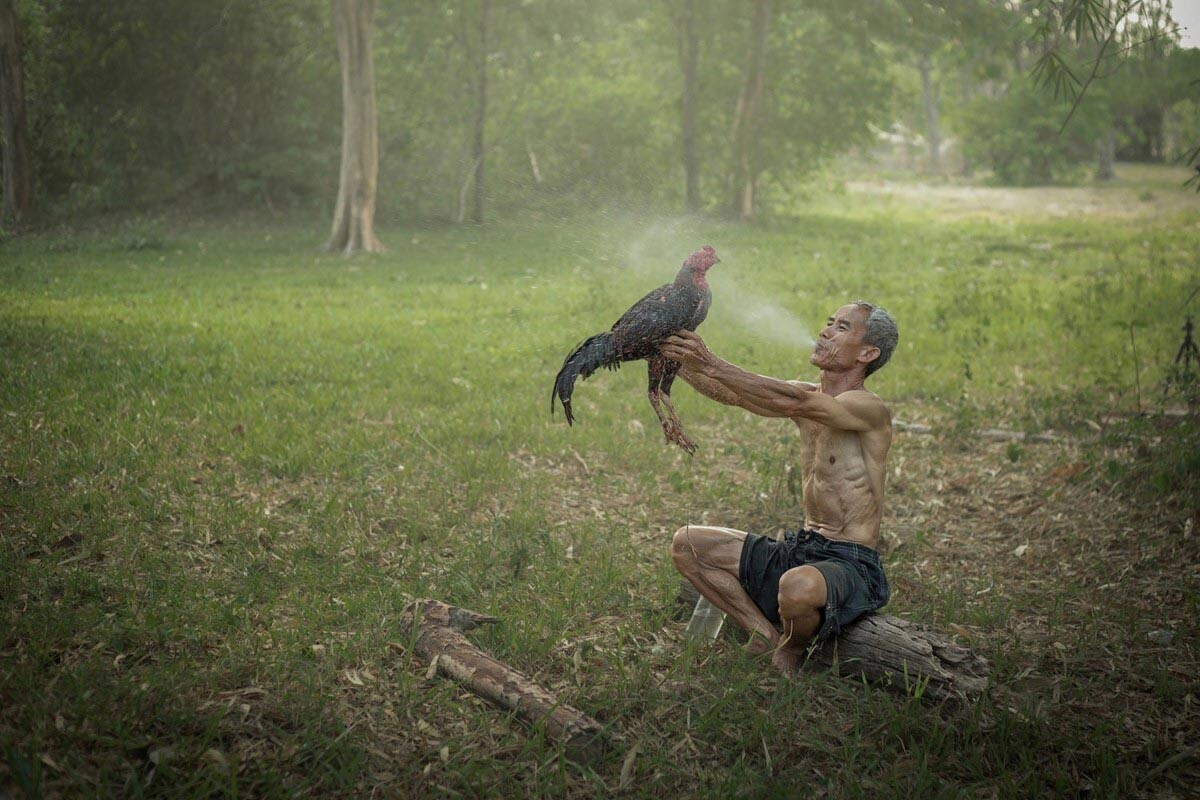 Nhiều người hay áp dụng cách làm da gà đá dày bằng phương pháp phun rượu