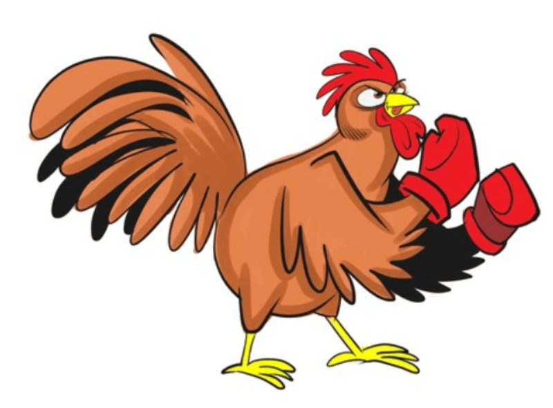 Bạn cần lưu ý gì khi sử dụng một số loại thuốc cơ bản dành cho gà đá