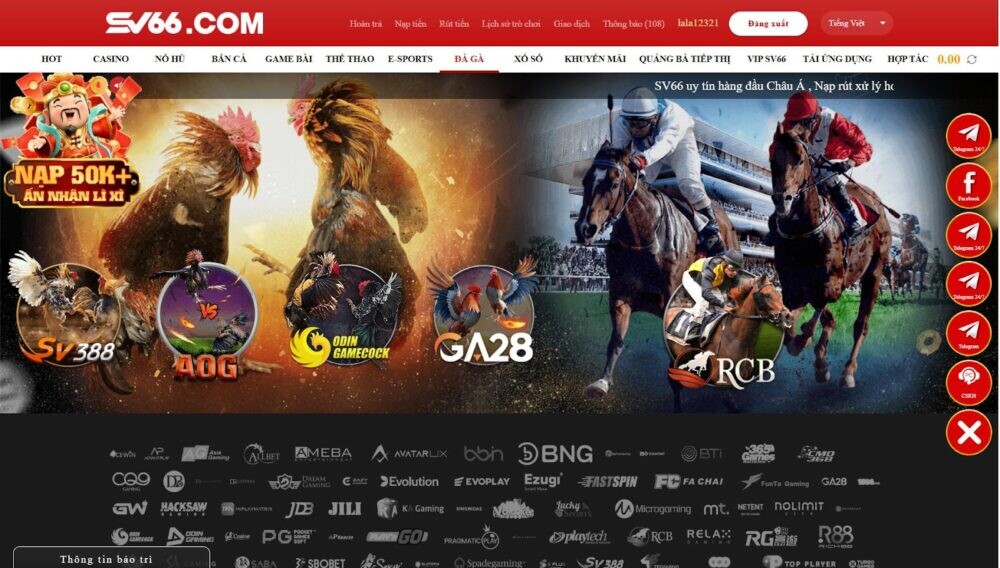 Hướng dẫn cách theo dõi trận đá gà CPC1 tại nhà cái SV66